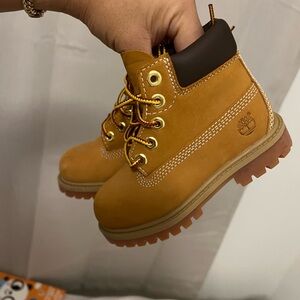 Worn for photos only brand new timberland